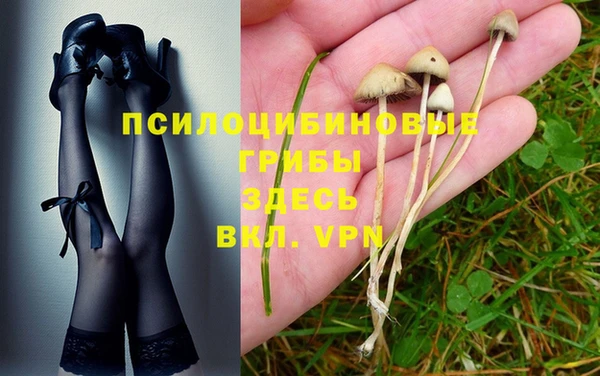 мескалин Балахна