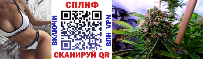Бошки марихуана сатива как найти закладки Гуково